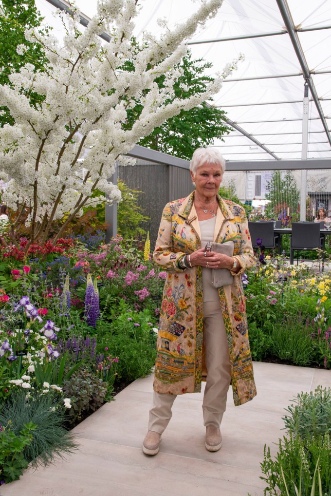 Dame Judi at the RHS Chelsea Flower Show
