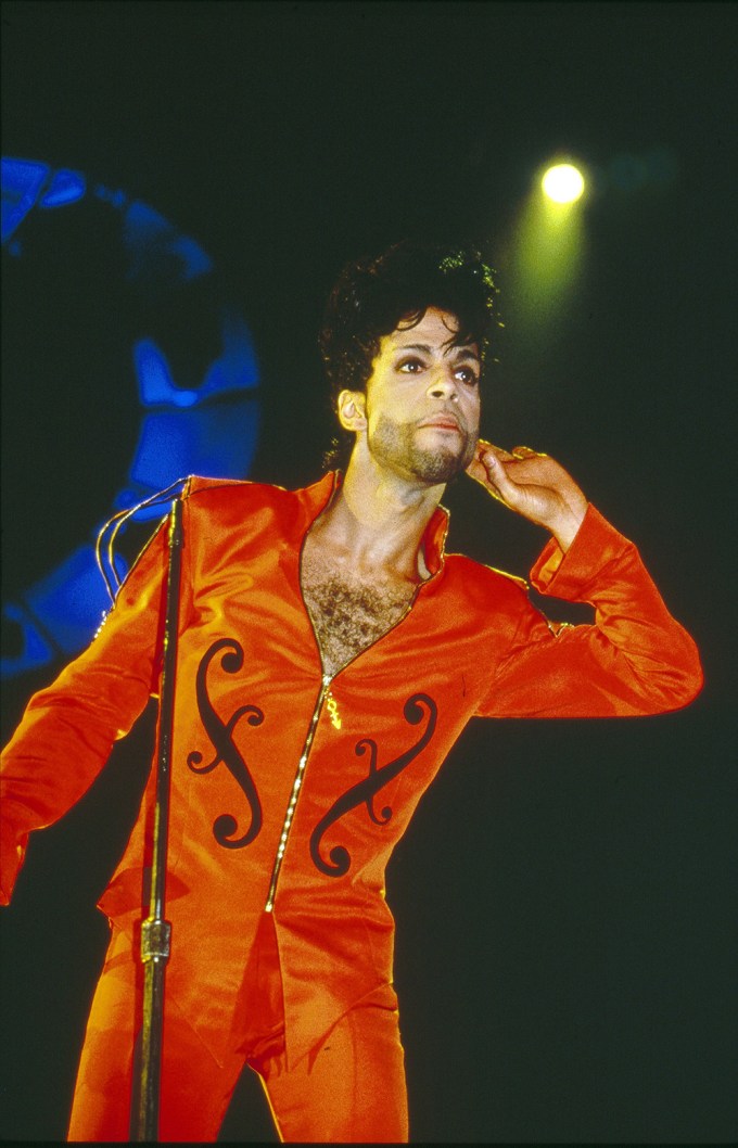 Prince In Orange