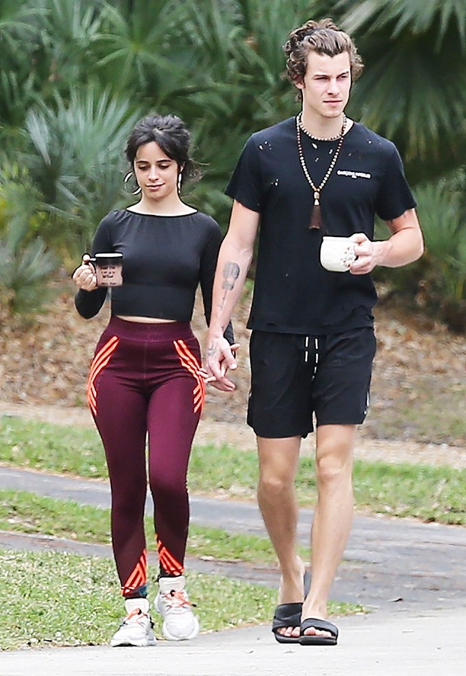 Shawn Mendes & Camila Cabello Holding Hands