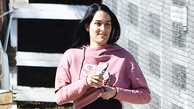 Brie & Nikki Bella Show Off Their Big Baby Bumps While Out To Lunch –  Hollywood Life