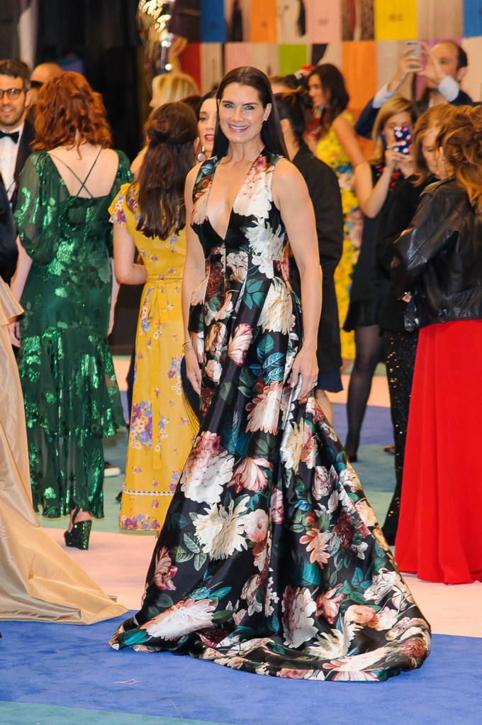 Brooke Shields In 2017