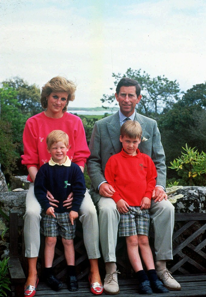 Prince Harry With His Parents And Brother, Prince William