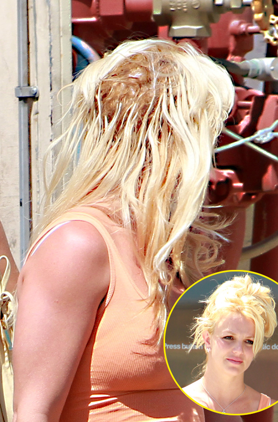 Oops, She Did It Again! Britney Spears Shows Off Her Heinous Extensions! –  Hollywood Life