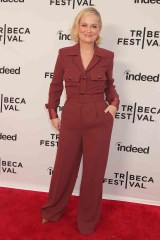 Amy Poehler
First Time Female Director Tribeca Festival Premiere, SVA 23rd st, New York, USA - 12 Jun 2023