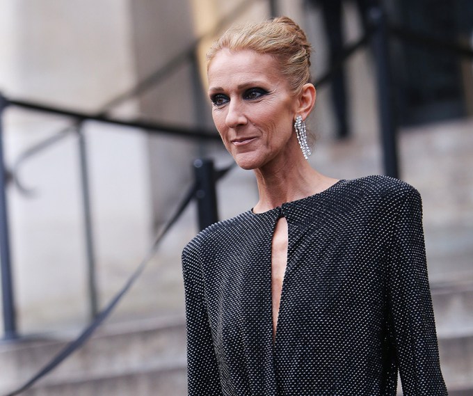 Celine Dion cancels concerts in 2023–2024 due to health issues