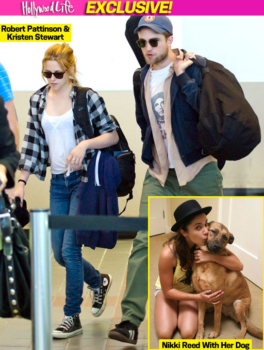 Did Rob Pattinson And Kristen Stewart Adopt A Dog Together