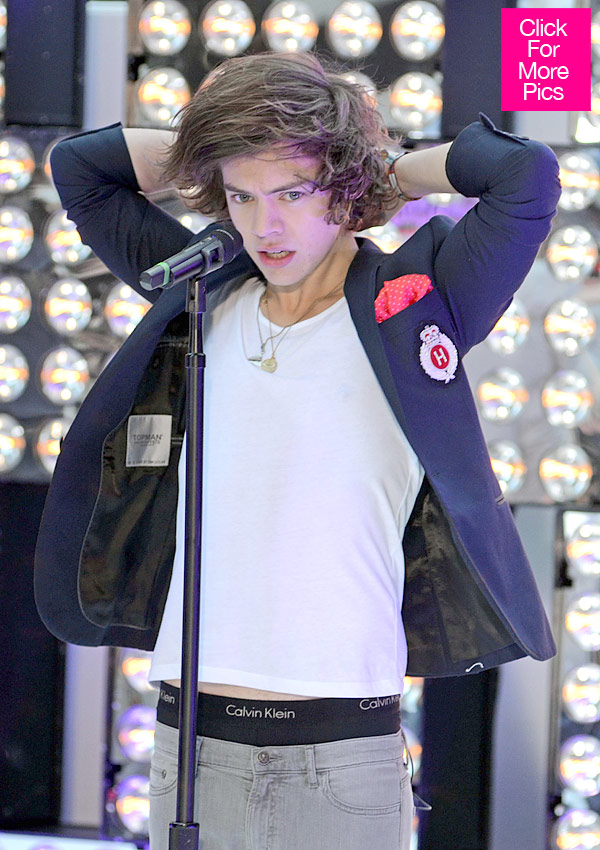 Harry Styles Makes Out With Fan