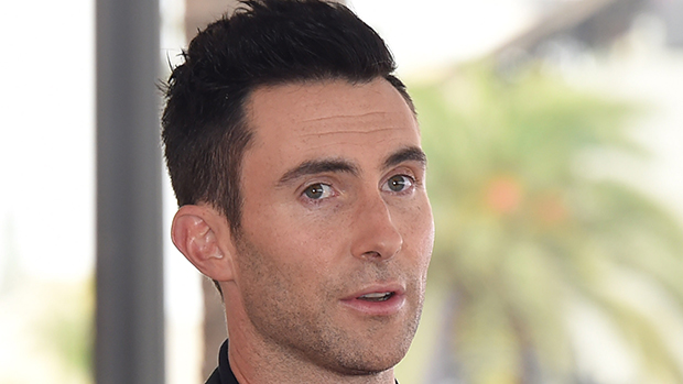 Adam Levine – Hollywood Life