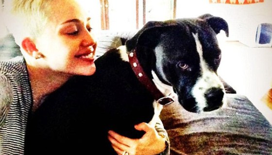 Miley Cyrus Smiles Again After Lila Died