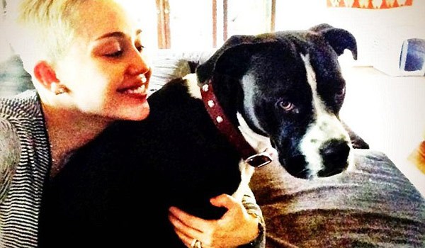 Miley Cyrus Smiles Again After Lila Died