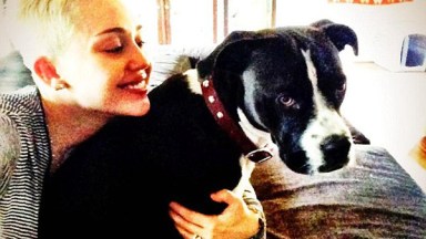 Miley Cyrus Smiles Again After Lila Died