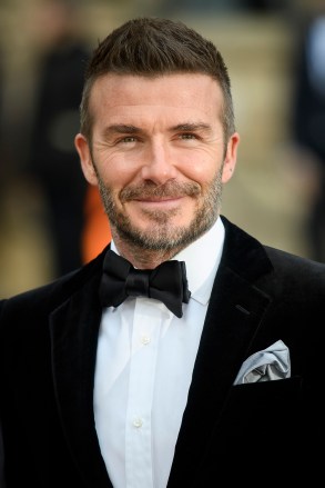 David Beckham
'Our Planet' Netflix TV show premiere, National History Museum, London, UK - 04 Apr 2019