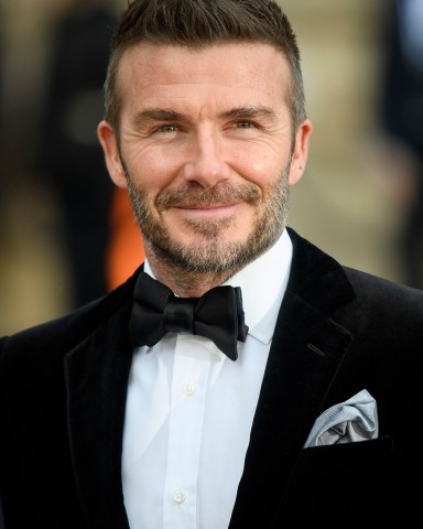 David Beckham
'Our Planet' Netflix TV show premiere, National History Museum, London, UK - 04 Apr 2019