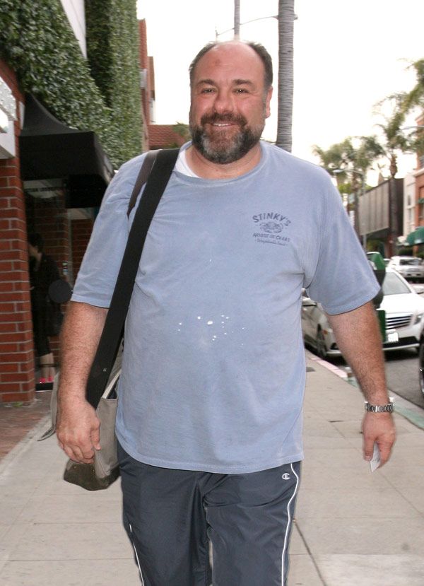 James Gandolfini S Health Issues Friends Asked Him To See Heart Doctor Hollywood Life