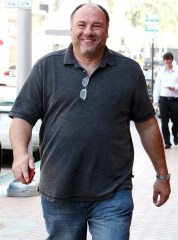 James Gandolfini
James Gandolfini out and about in Beverly Hills, Los Angeles, America - 26 Sep 2011