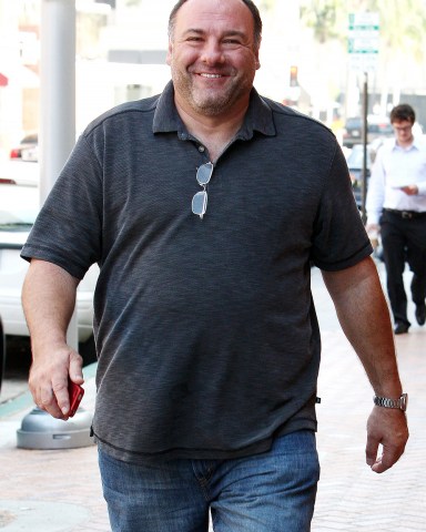 James Gandolfini
James Gandolfini out and about in Beverly Hills, Los Angeles, America - 26 Sep 2011