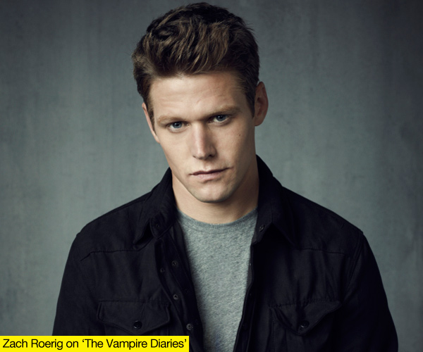 Zach Roerig Custody Battle