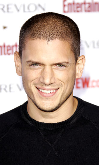 Wentworth Miller Bio