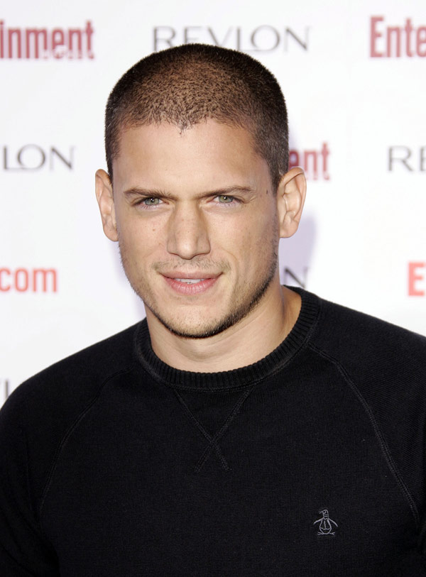 Wentworth Miller Gay — Celebs React On Twitter Hollywood Life