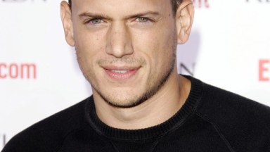 Wentworth Miller Gay