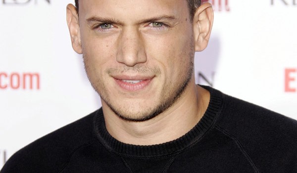 Wentworth Miller Gay