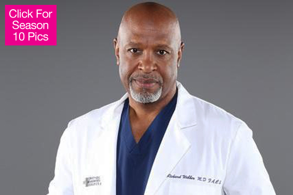 Grey's Anatomy Recap