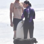 Ashton Kutcher Shirtless Surfing Mila Kunis MEGA