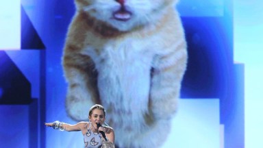 Miley Cyrus AMAs Cat