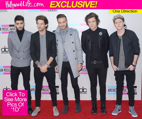 One Direction Midnight Memories