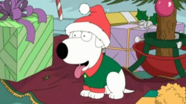 Family Guy Brian Griffin