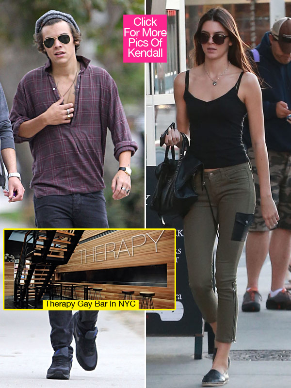 Harry Styles Kendall Jenner Gay Bar