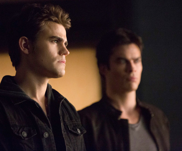 Damon and Stefan Will Decide Exactly When The Vampire Diaries Ends