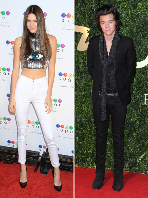 Kendall Jenner Harry Styles Serious Relationship His Plans For Their Future Hollywood Life