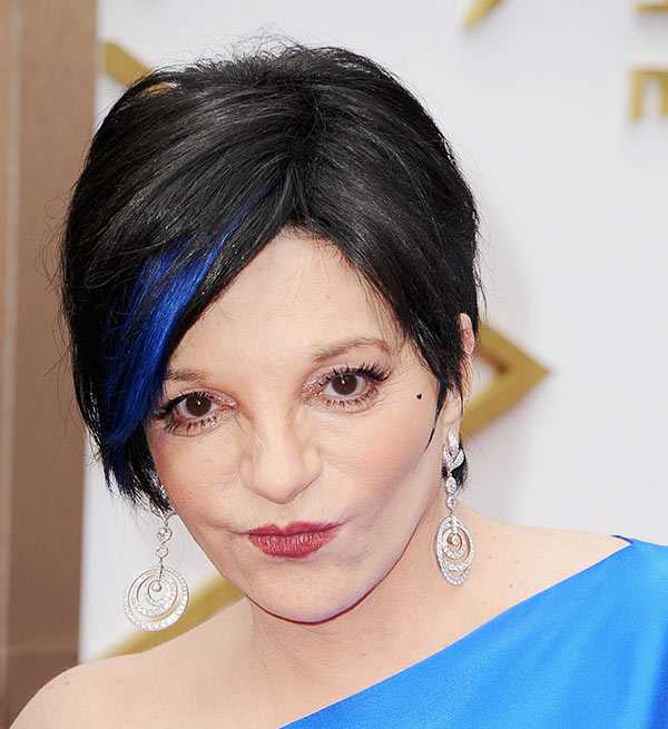 [photos] Liza Minnelli‘s Academy Awards Hair And Makeup — Blue Streak In