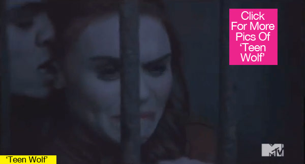 Allison Argent Dies Teen Wolf