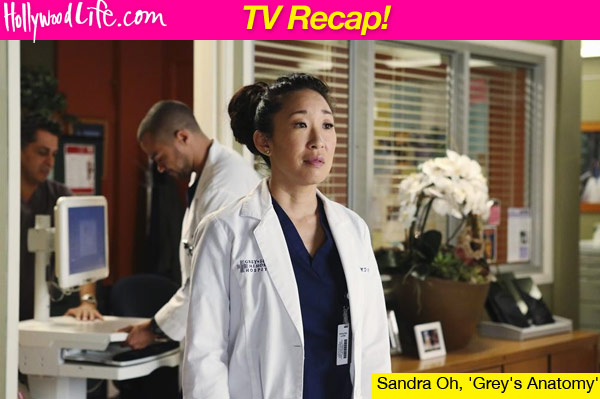 Greys Anatomy Cristina Leaving Owen Behind