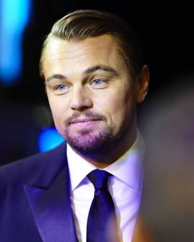 Leonardo DiCaprio
EE British Academy Film Awards, Ceremony, Royal Opera House, London, Britain - 16 Feb 2014