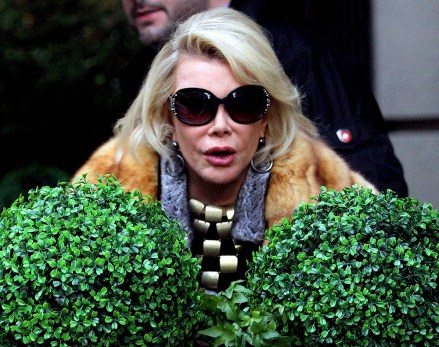 Joan Rivers
Joan Rivers out and about, New York, America - 26 Dec 2013