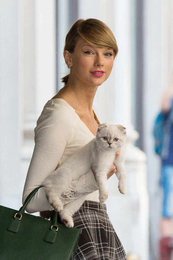 Taylor Swift’s Cat Eye — Get Her Adorable Makeup Holding Her Cat In Nyc