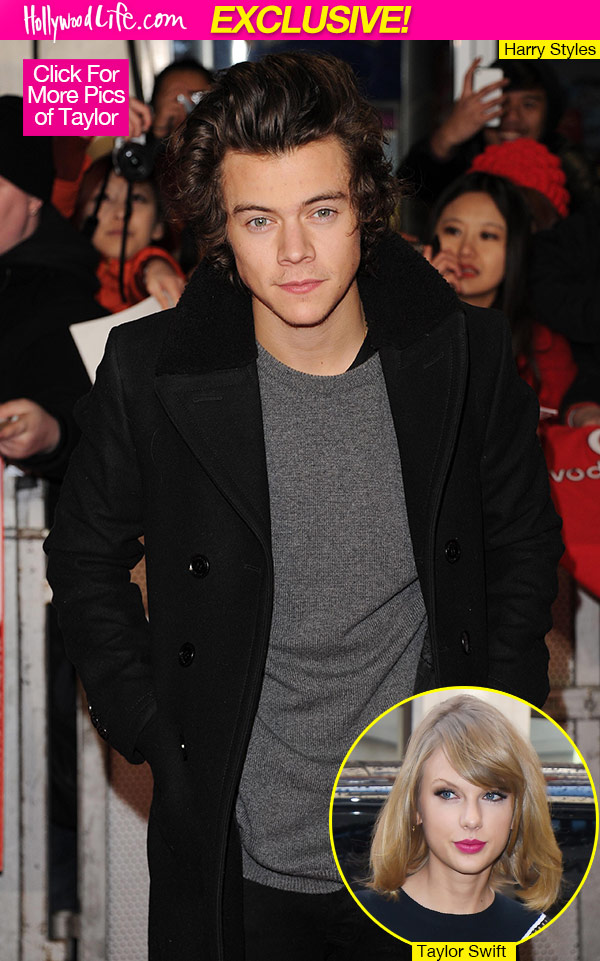 Harry Styles Defending Taylor Swift