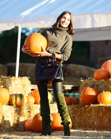 EXCLUSIVE: Former Miss Universe Olivia Culpo steps out looking flawless as she is spotted buying a huge pumpkin from Mr bones pumpkin patch ahead of Halloween. 26 Oct 2018 Pictured: Olivia Culpo. Photo credit: MEGA TheMegaAgency.com +1 888 505 6342 (Mega Agency TagID: MEGA299317_004.jpg) [Photo via Mega Agency]