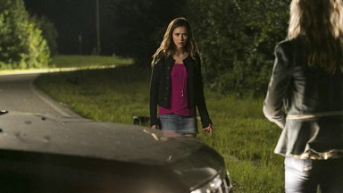 Vampire Diaries Elena Damon Reunion