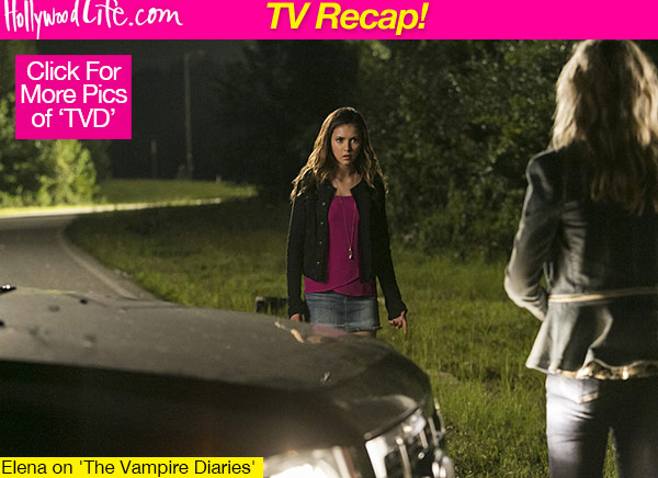 Vampire Diaries Elena Damon Reunion