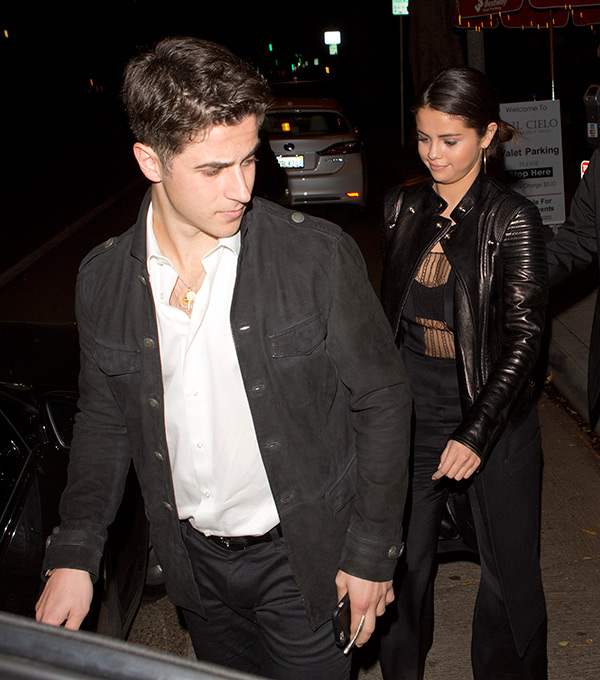 David Henrie And Selena Gomez Relationship — What She Really