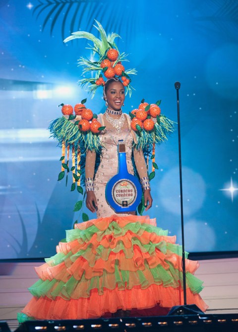 Miss Universe Outfits 2015: Their Outrageously Sexy Costumes ...