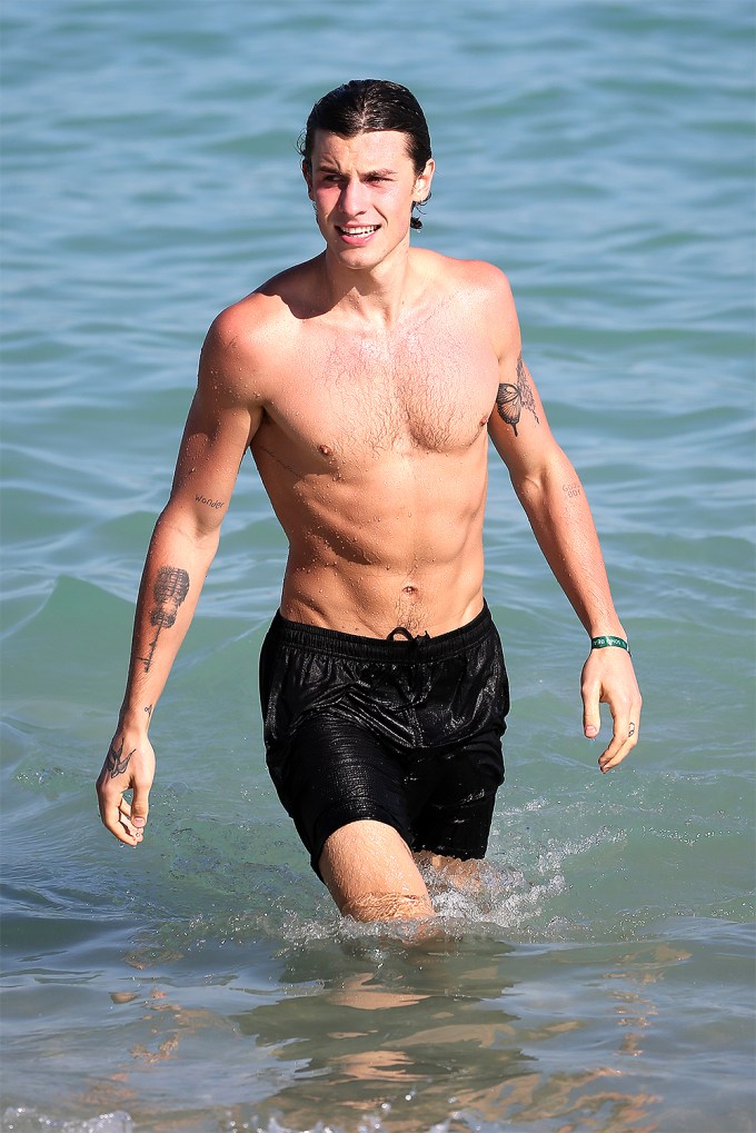 Shawn Mendes Flaunts His Abs In Miami
