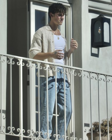 West Hollywood, CA  - *EXCLUSIVE*  - Canadian singer Shawn Mendes is looking suave in an unbuttoned shirt as he hangs out at the Sunset Plaza in West Hollywood.Pictured: Shawn Mendes BACKGRID USA 30 NOVEMBER 2022 BYLINE MUST READ: LESE / BACKGRIDUSA: +1 310 798 9111 / usasales@backgrid.comUK: +44 208 344 2007 / uksales@backgrid.com*UK Clients - Pictures Containing ChildrenPlease Pixelate Face Prior To Publication*