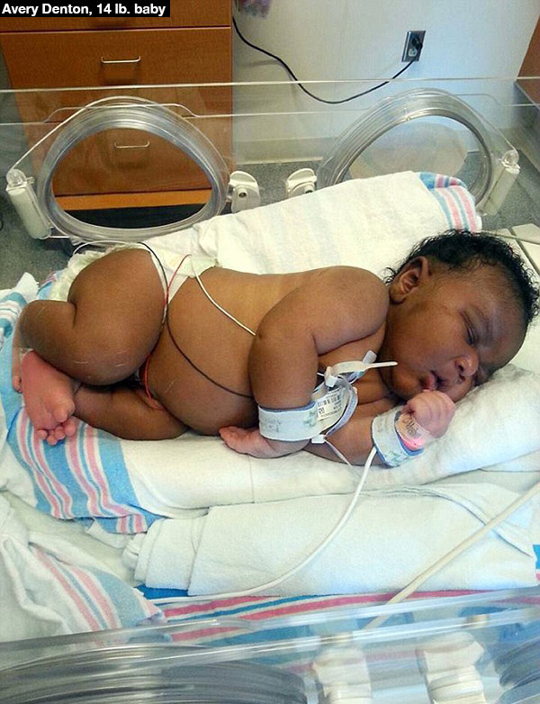14lb Baby Born