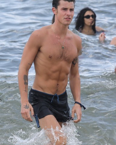 Miami, FL - Shawn Mendes enjoys the single life as he puts his rippling abs on display during beach day in Miami.Pictured: Shawn MendesBACKGRID USA 7 MAY 2022 USA: +1 310 798 9111 / usasales@backgrid.comUK: +44 208 344 2007 / uksales@backgrid.com*UK Clients - Pictures Containing ChildrenPlease Pixelate Face Prior To Publication*