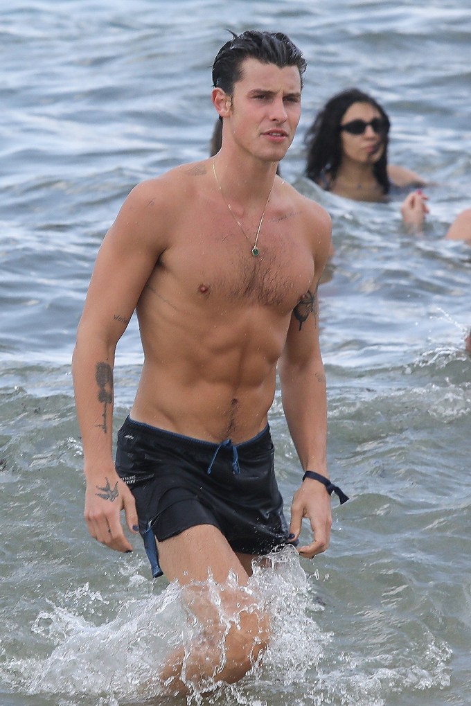 Singer Shawn Mendes shows off his shirtless body at the beach